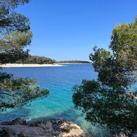 公寓 Sunhill Deluxe Maya